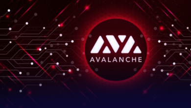 what is avalanche