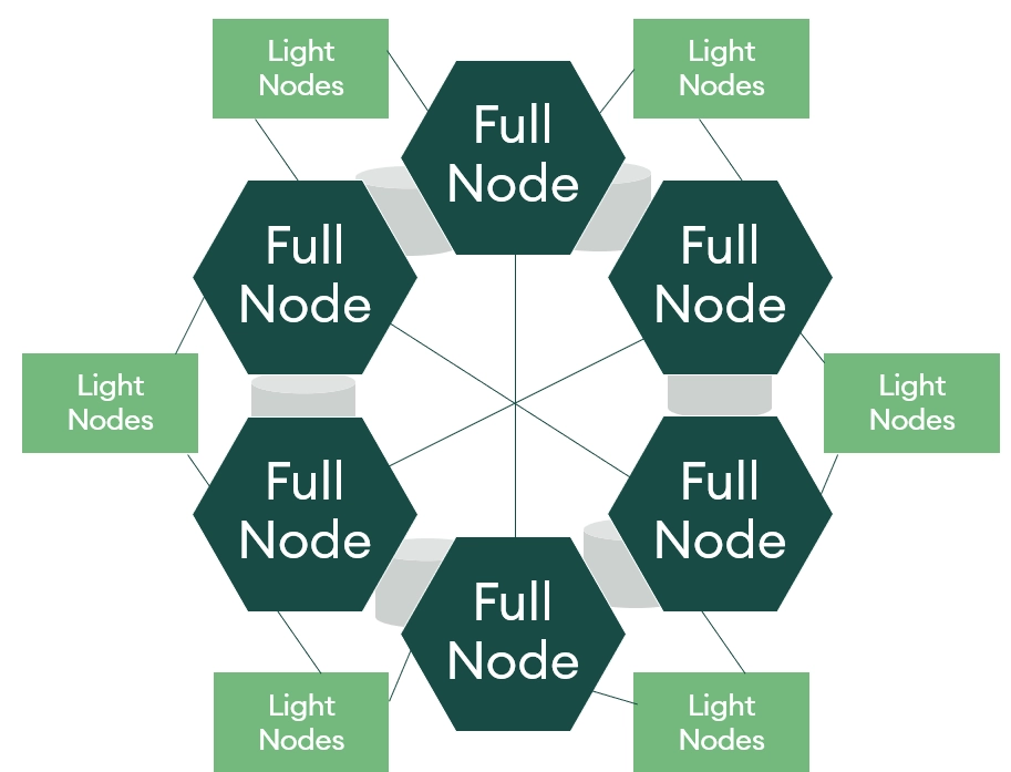 light node