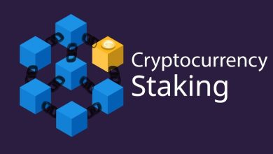 crypto stake